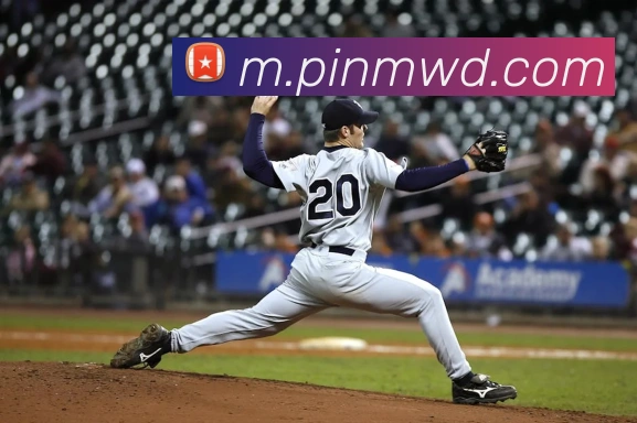 问鼎官网入口APP 封面图